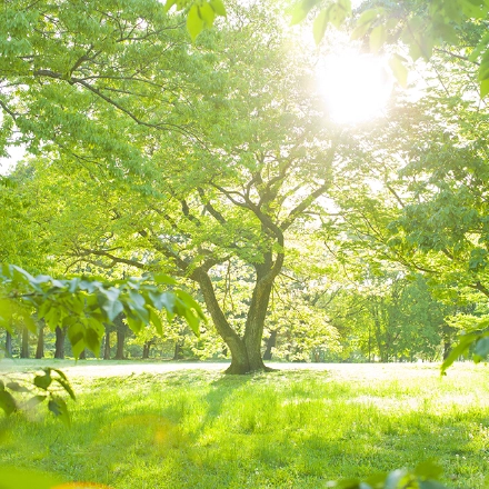 精神科と心療内科の違いについて